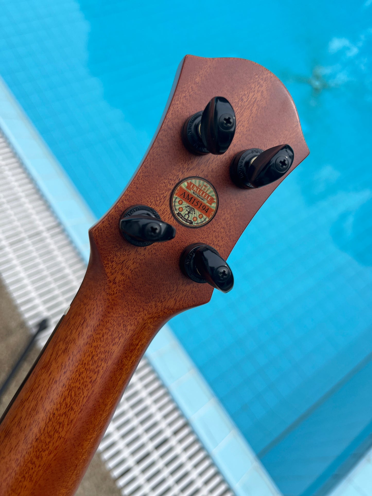 aNueNue Green Bird All Solid Cuban Mahogan Soprano