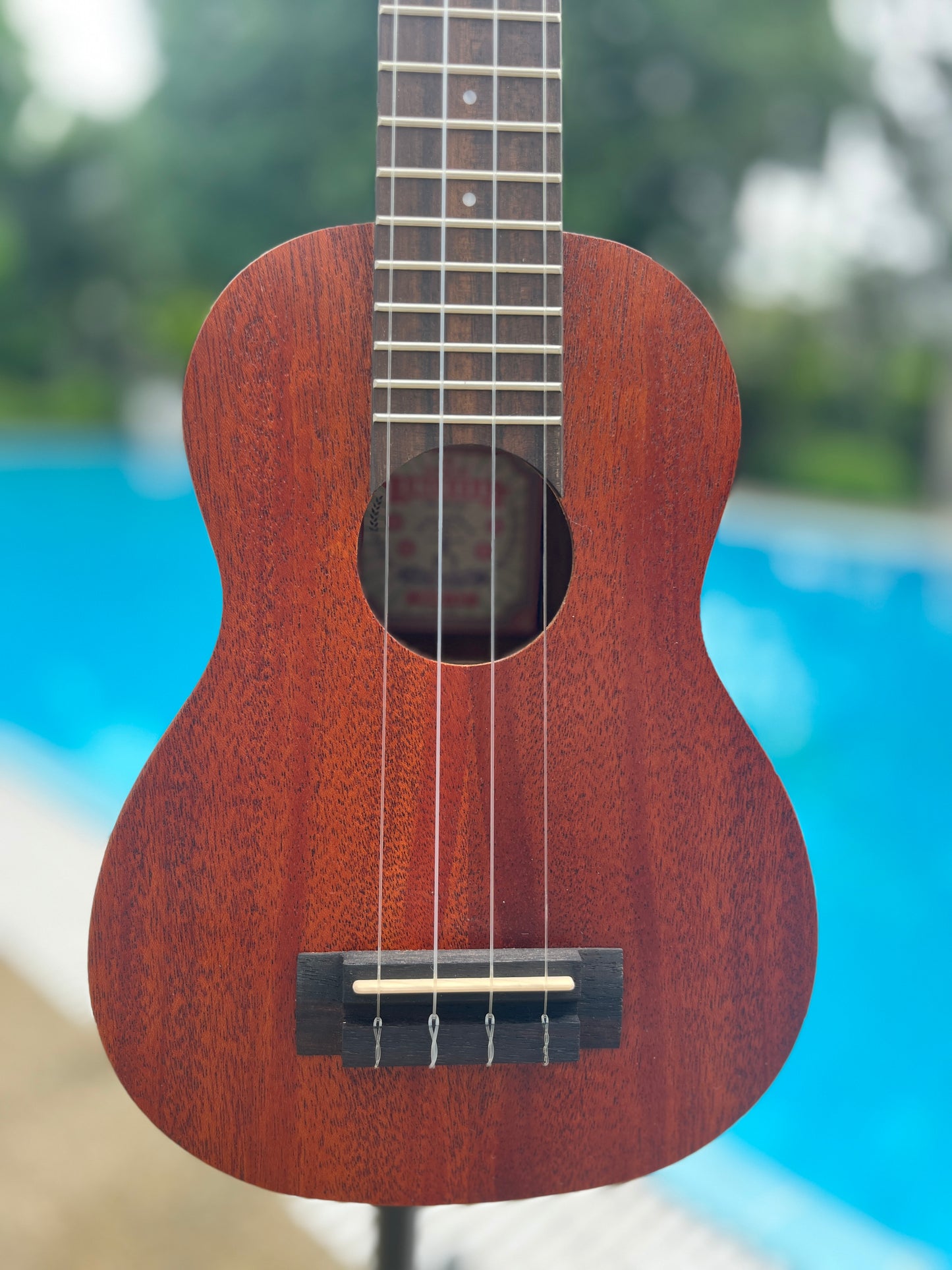 aNueNue U1 Soprano