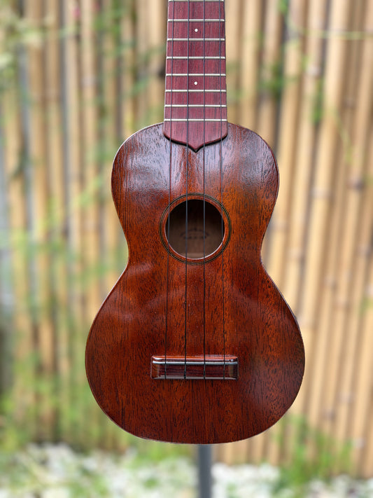 Tkitki mahogany soprano with jacaranda fretboard
