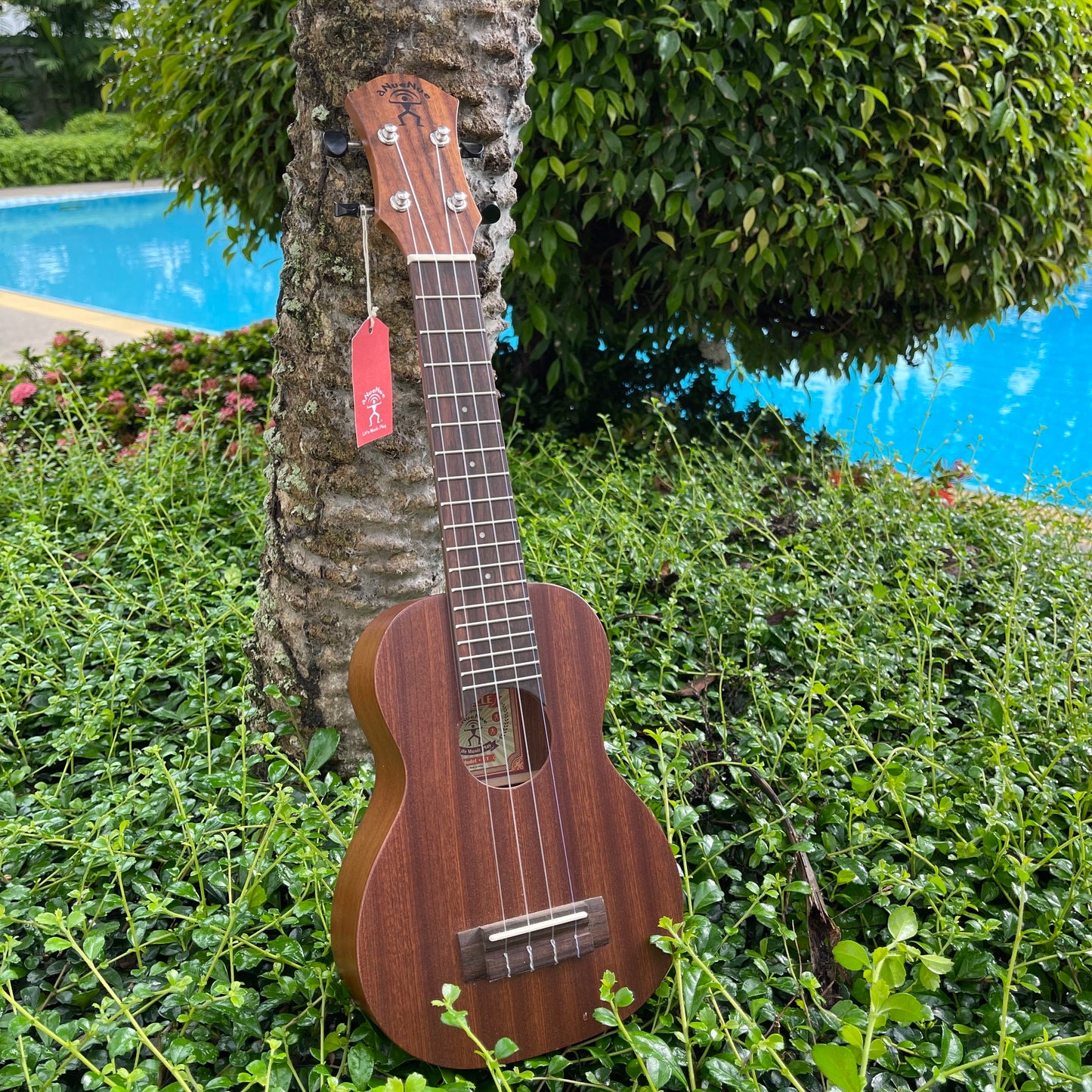 aNueNue U1 Soprano