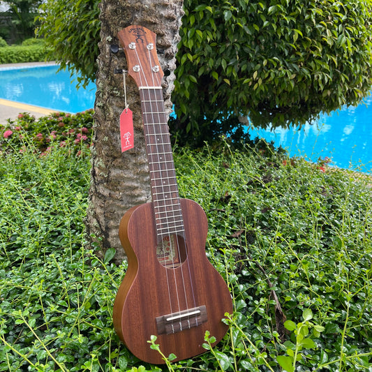 aNueNue U1 Soprano
