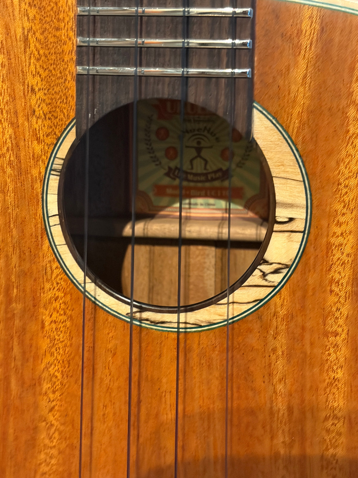 aNueNue Greenbird Cuban Mahogany Concert