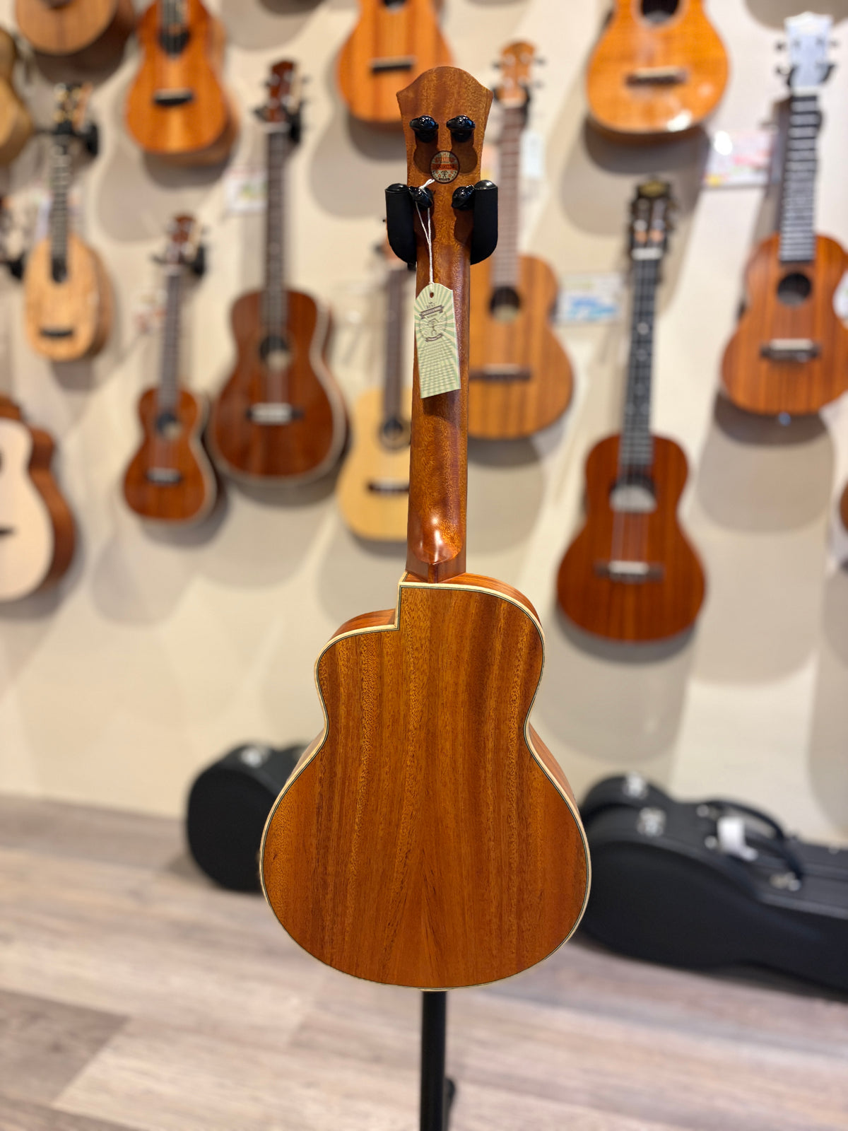 aNueNue Greenbird Cuban Mahogany Concert