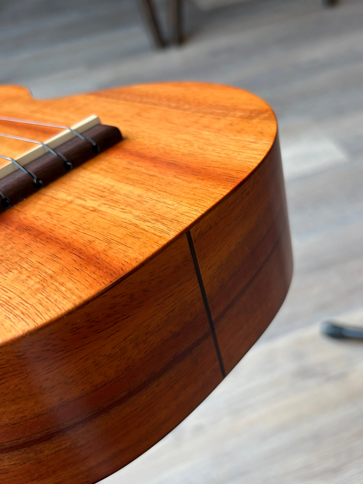 Kamaka 110th Anniversary HF-2 Concert
