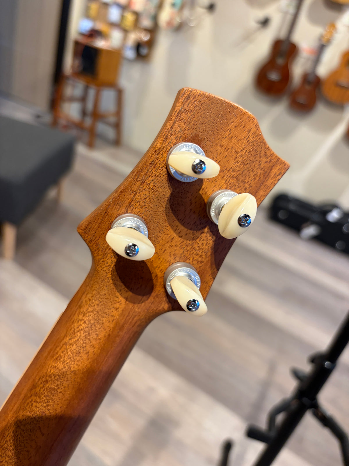 Takahashi Maple Concert