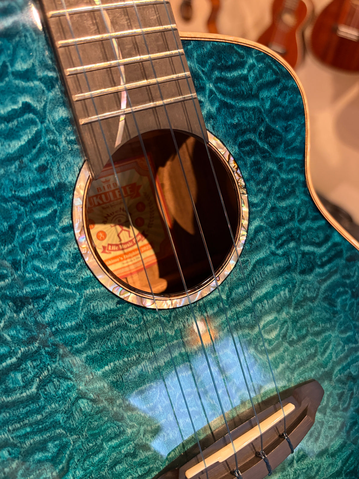 aNueNue x Shimo Dolphin Tenor
