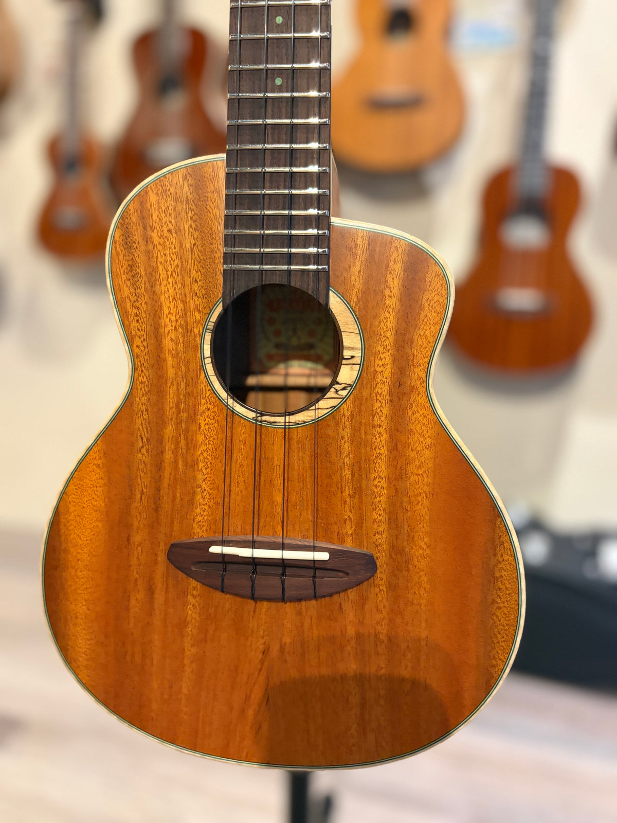 aNueNue Greenbird Cuban Mahogany Concert