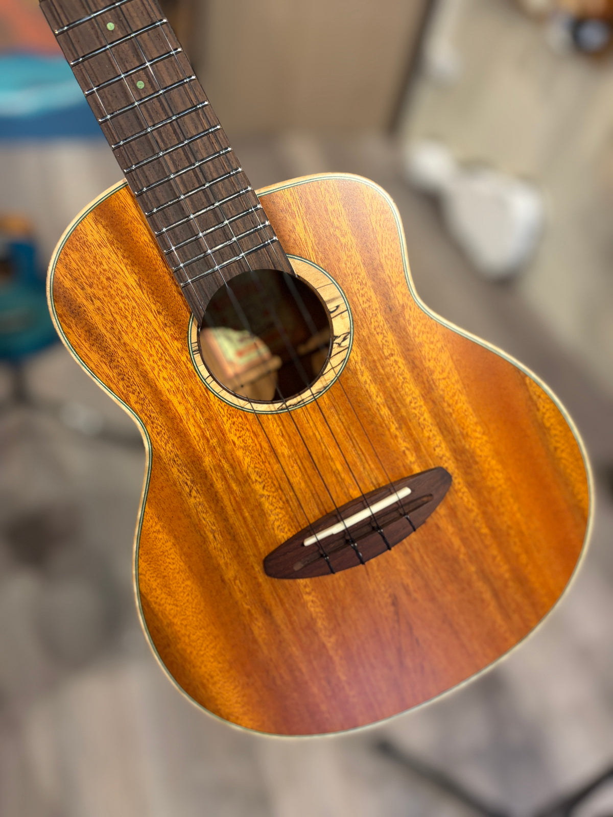 aNueNue Greenbird Cuban Mahogany Concert
