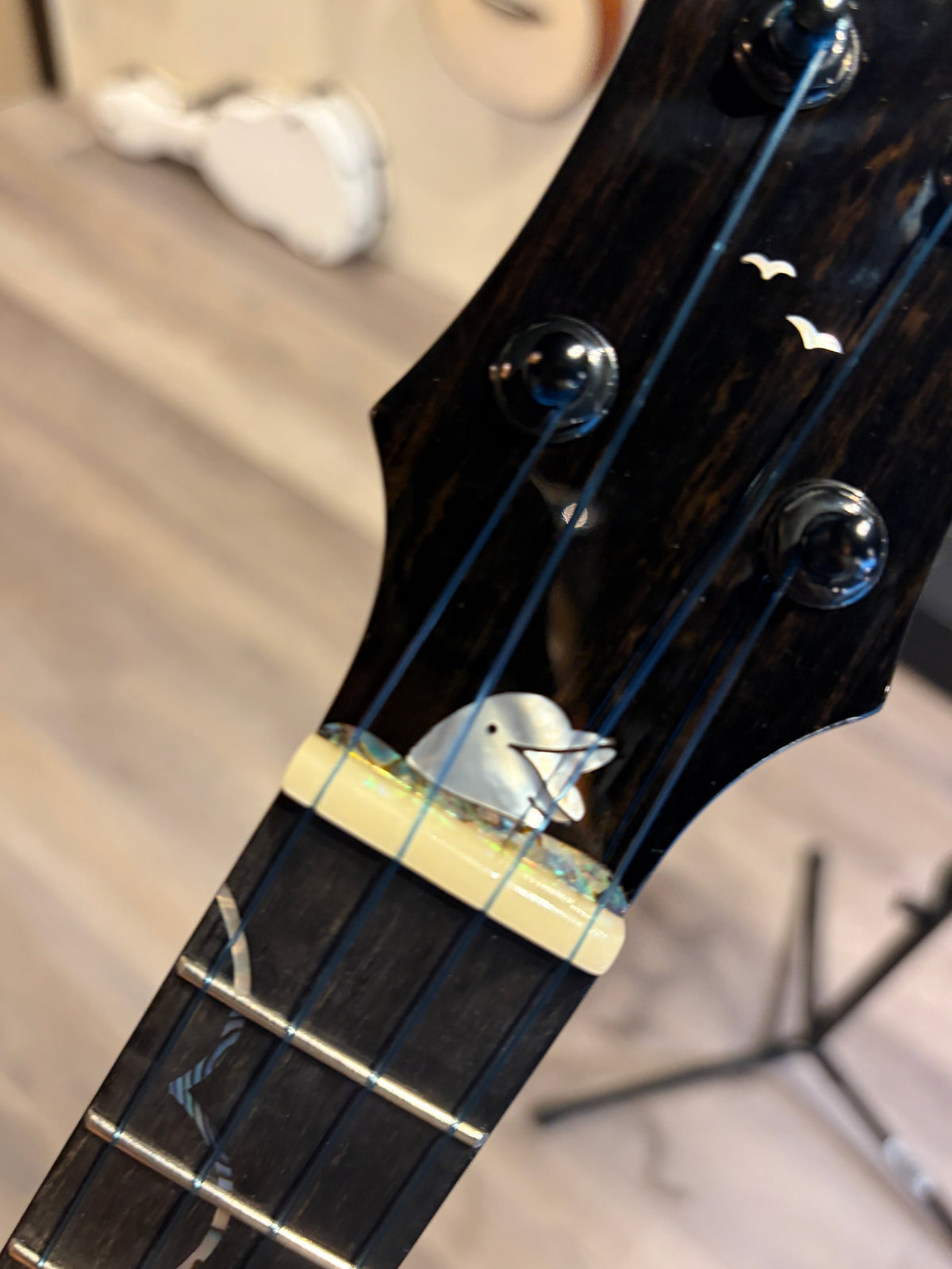 aNueNue x Shimo Dolphin Tenor