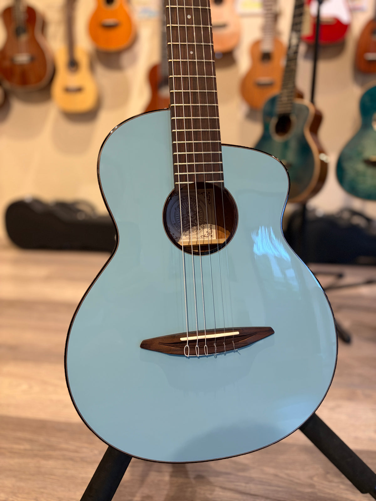aNueNue Nino 520 Nylon Mini Guitar/ 6 Strings Baritone Ukulele Summer Blue