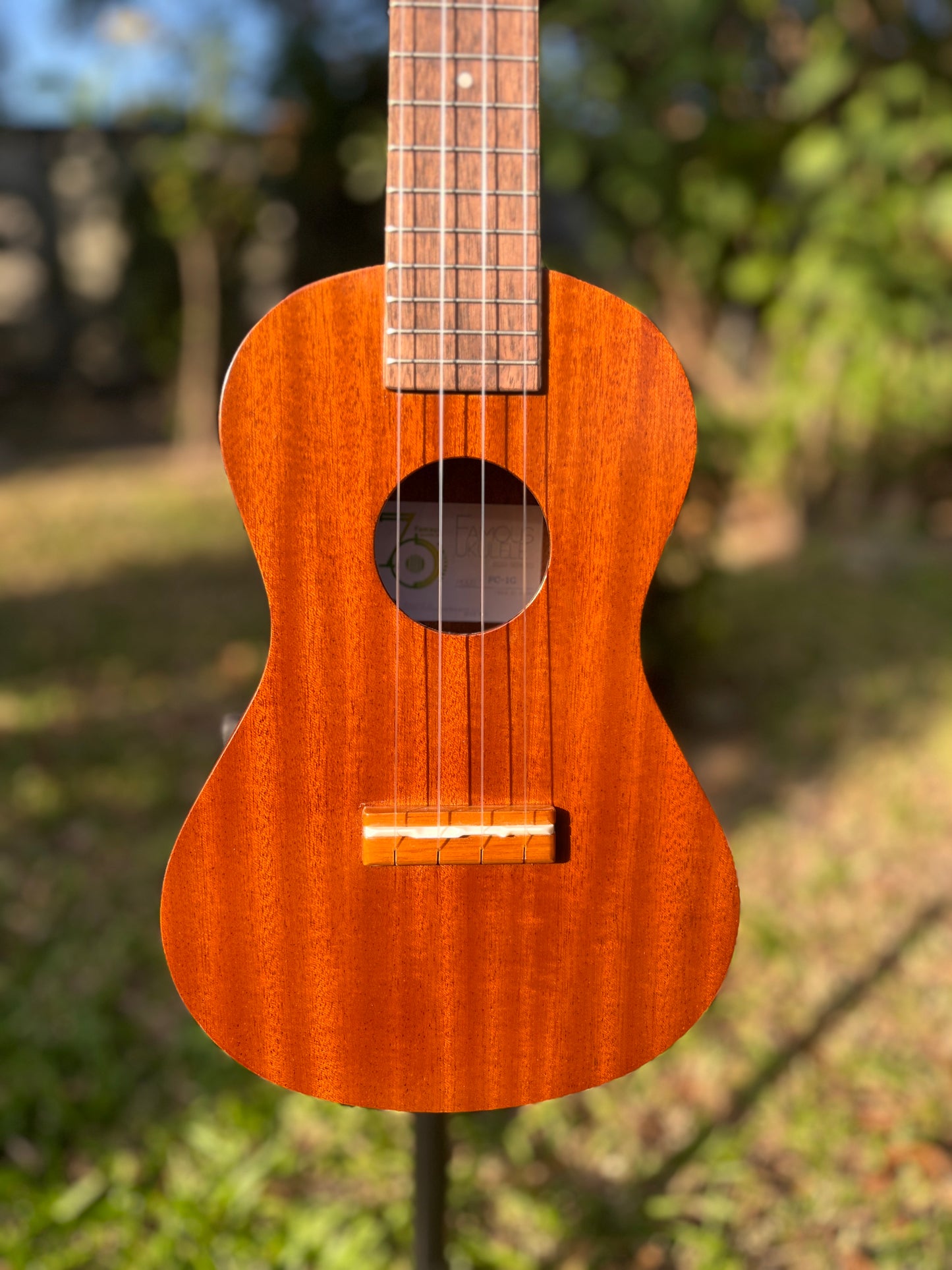 Famous FC-1G Concert Ukulele