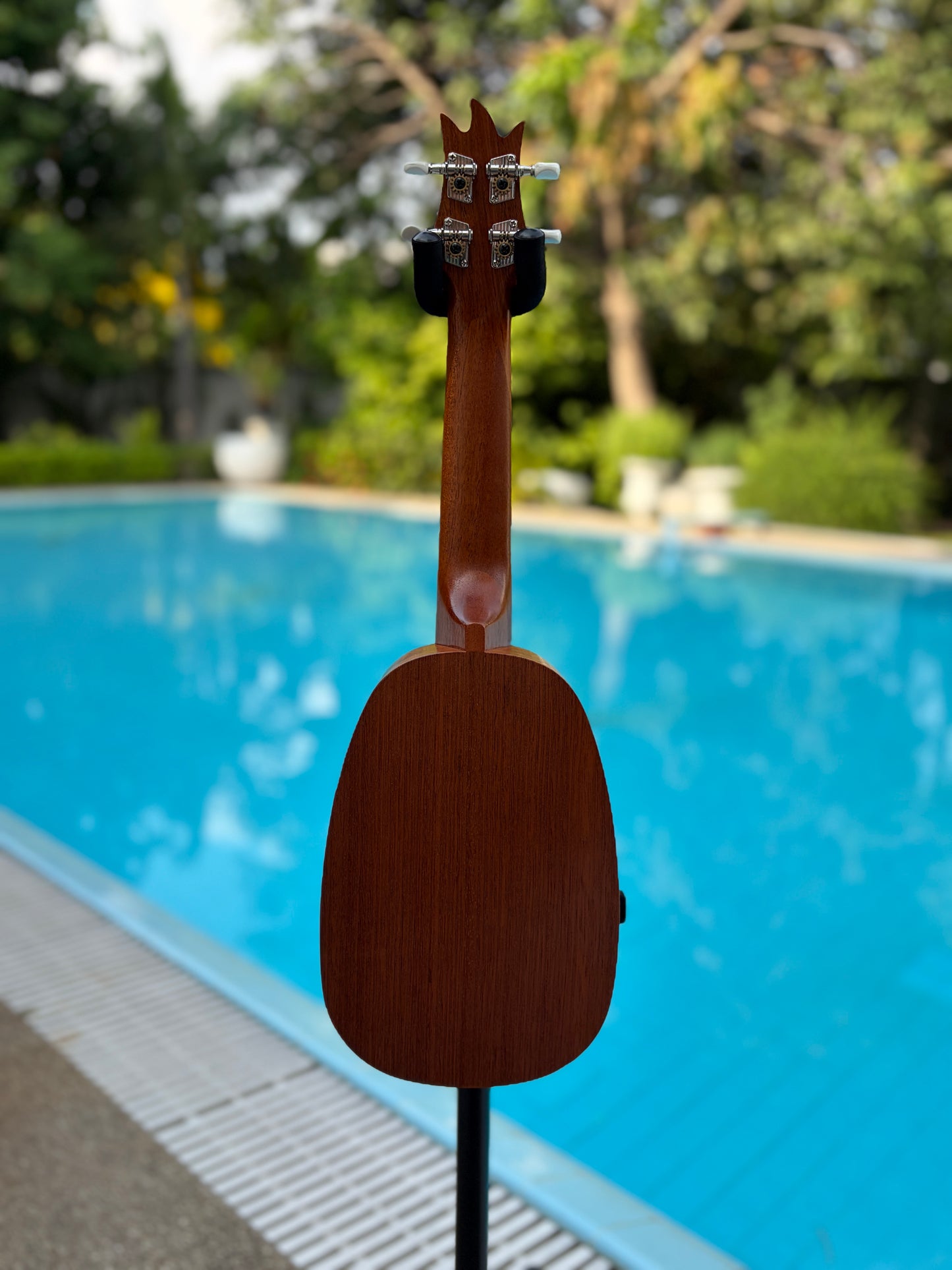 Famous (Kiwaya) Mahogany Pineapple