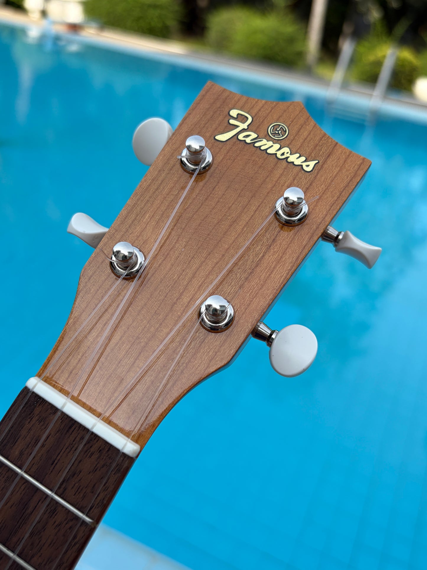 Famous (Kiwaya) FS-11G American Cherry Soprano Ukulele