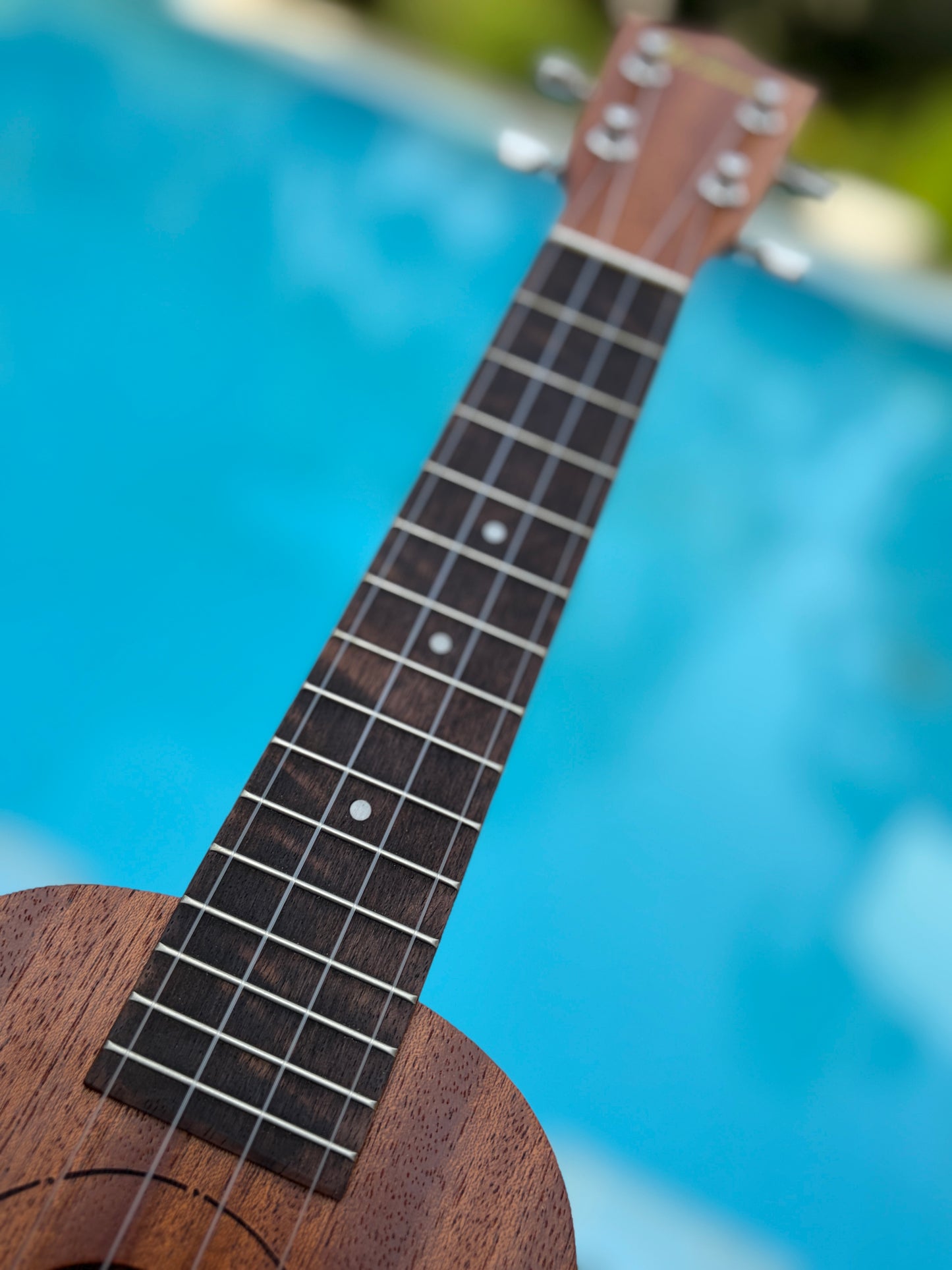 Famous (Kiwaya) FS-1G Ivy Mahogany Soprano