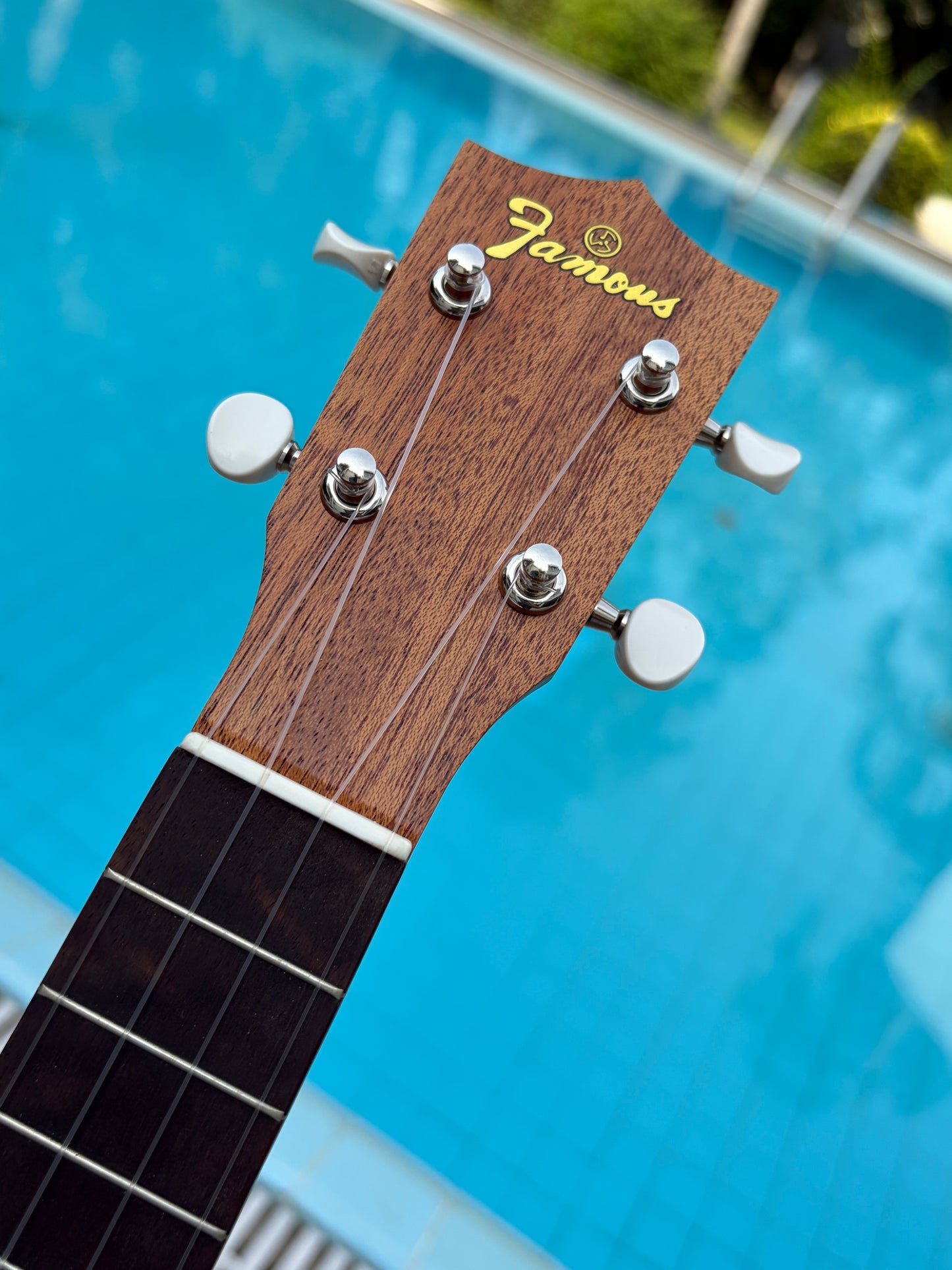 Famous (Kiwaya) FS-1G Ivy Mahogany Soprano