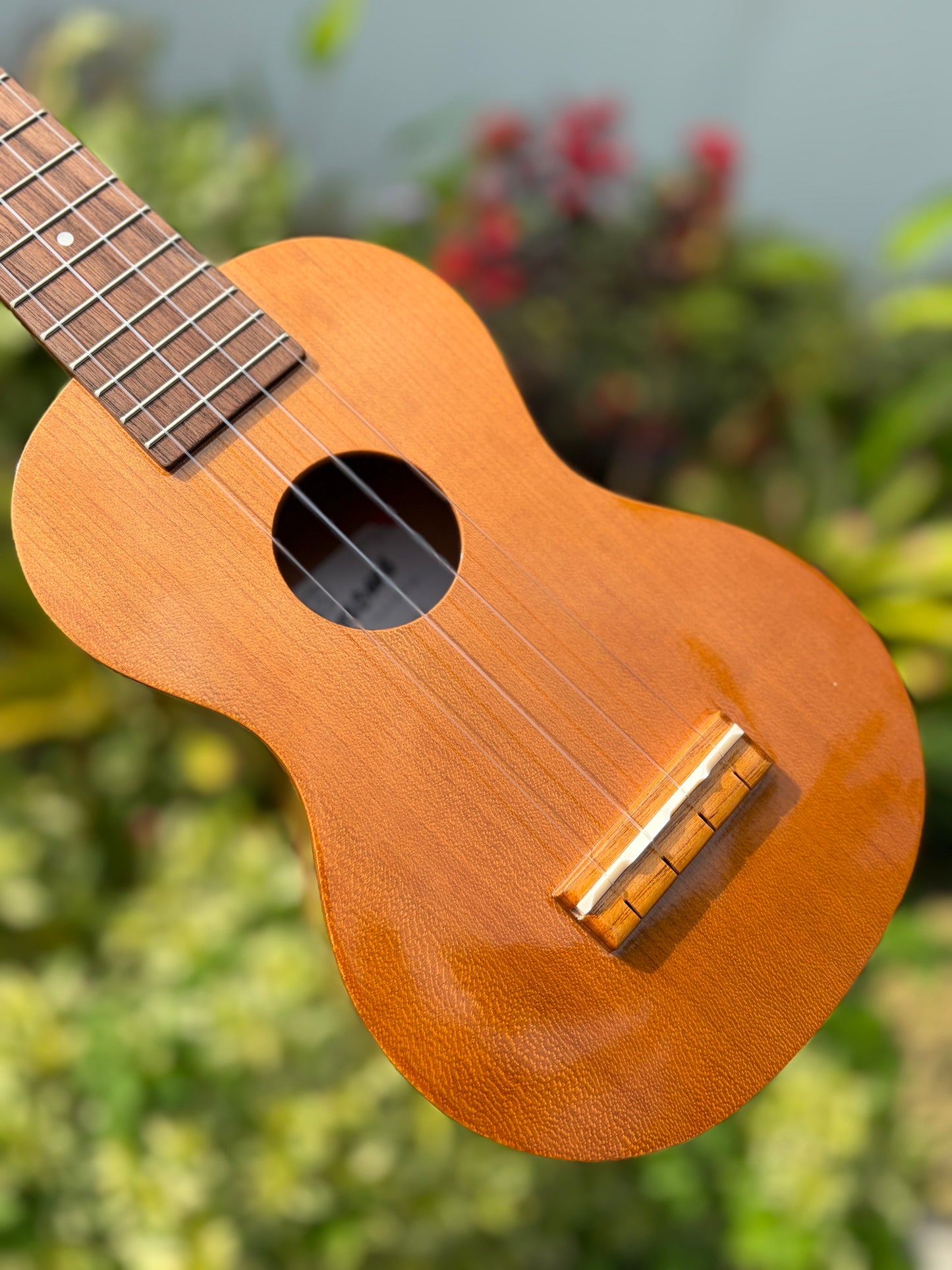 Famous Cherry Soprano