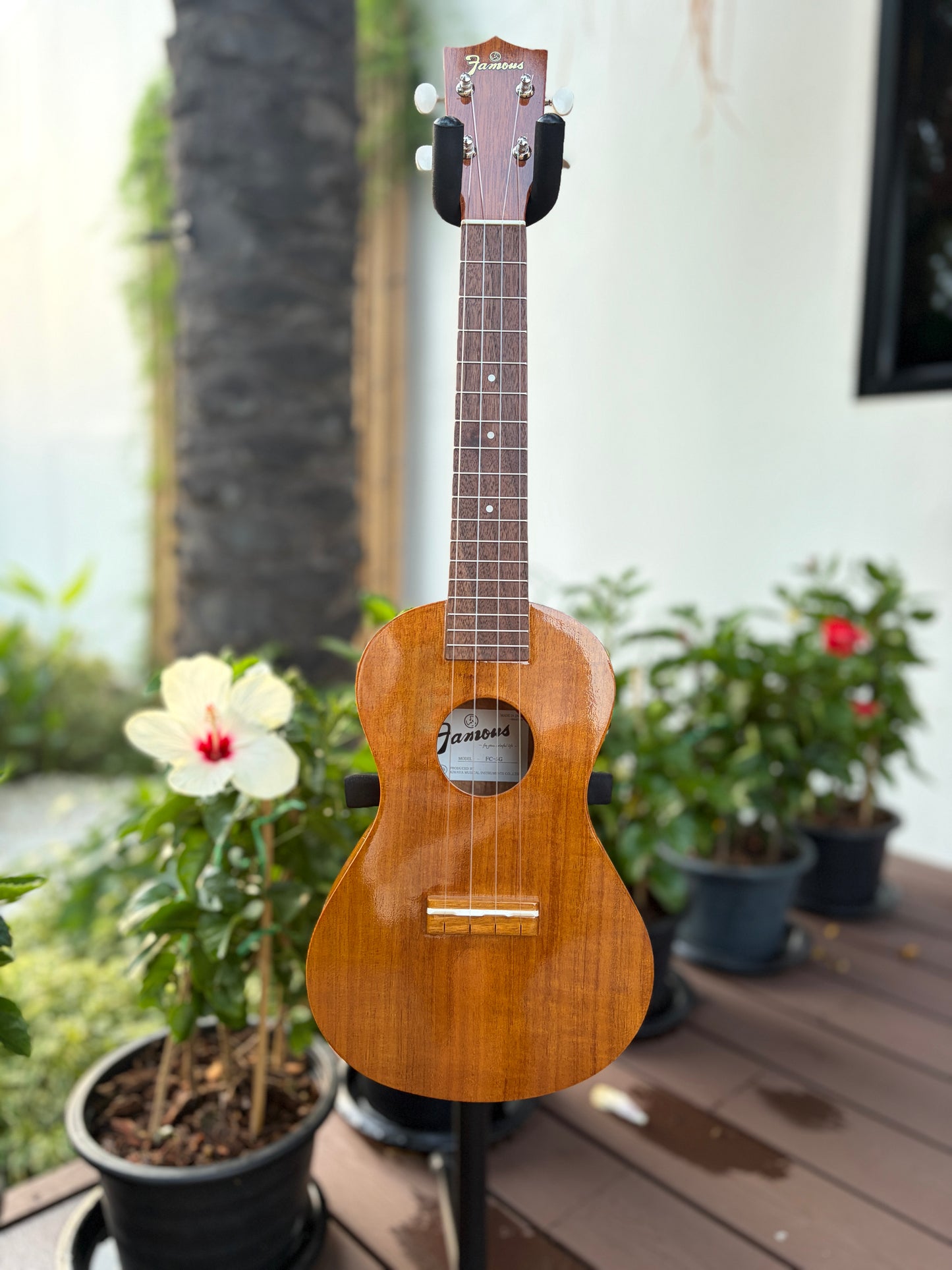 Famous FC-5G Hawaiian Koa Concert