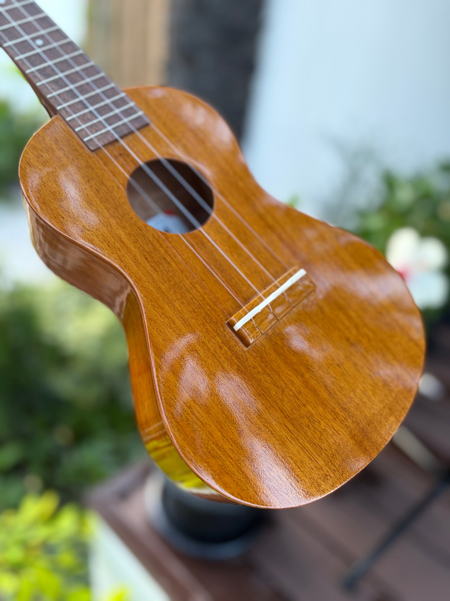 Famous FC-5G Hawaiian Koa Concert