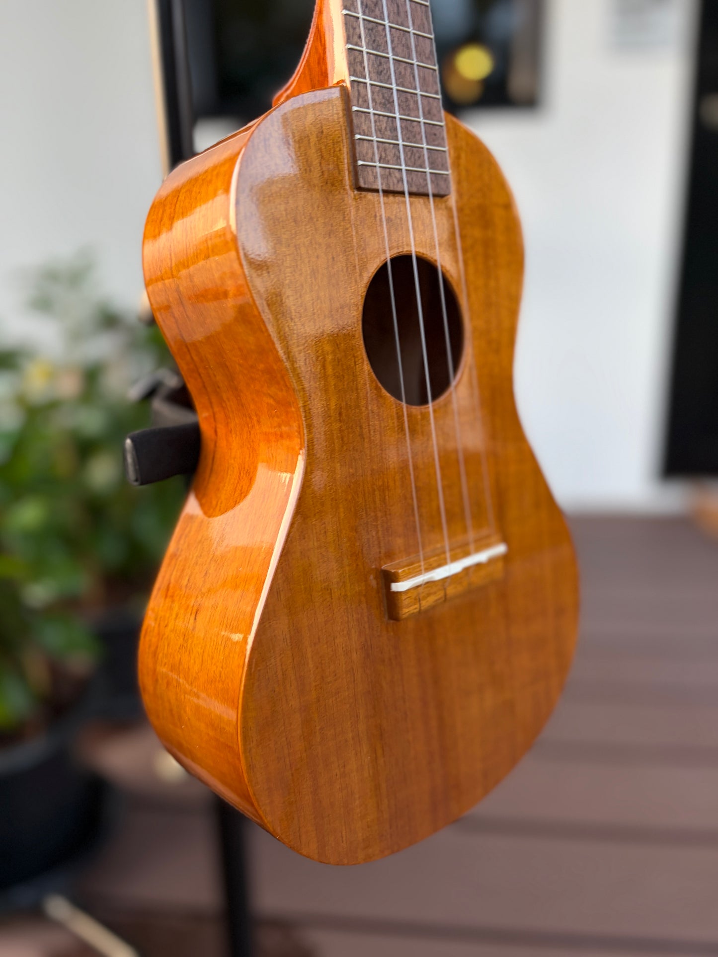 Famous FC-5G Hawaiian Koa Concert