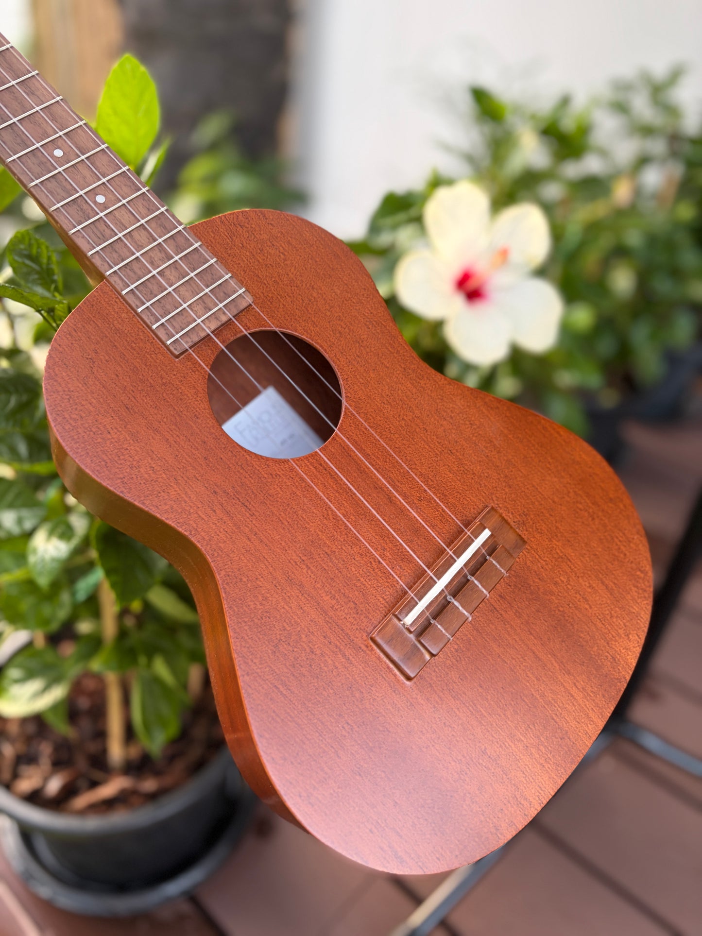 Famous FT-1G Mahogany Tenor