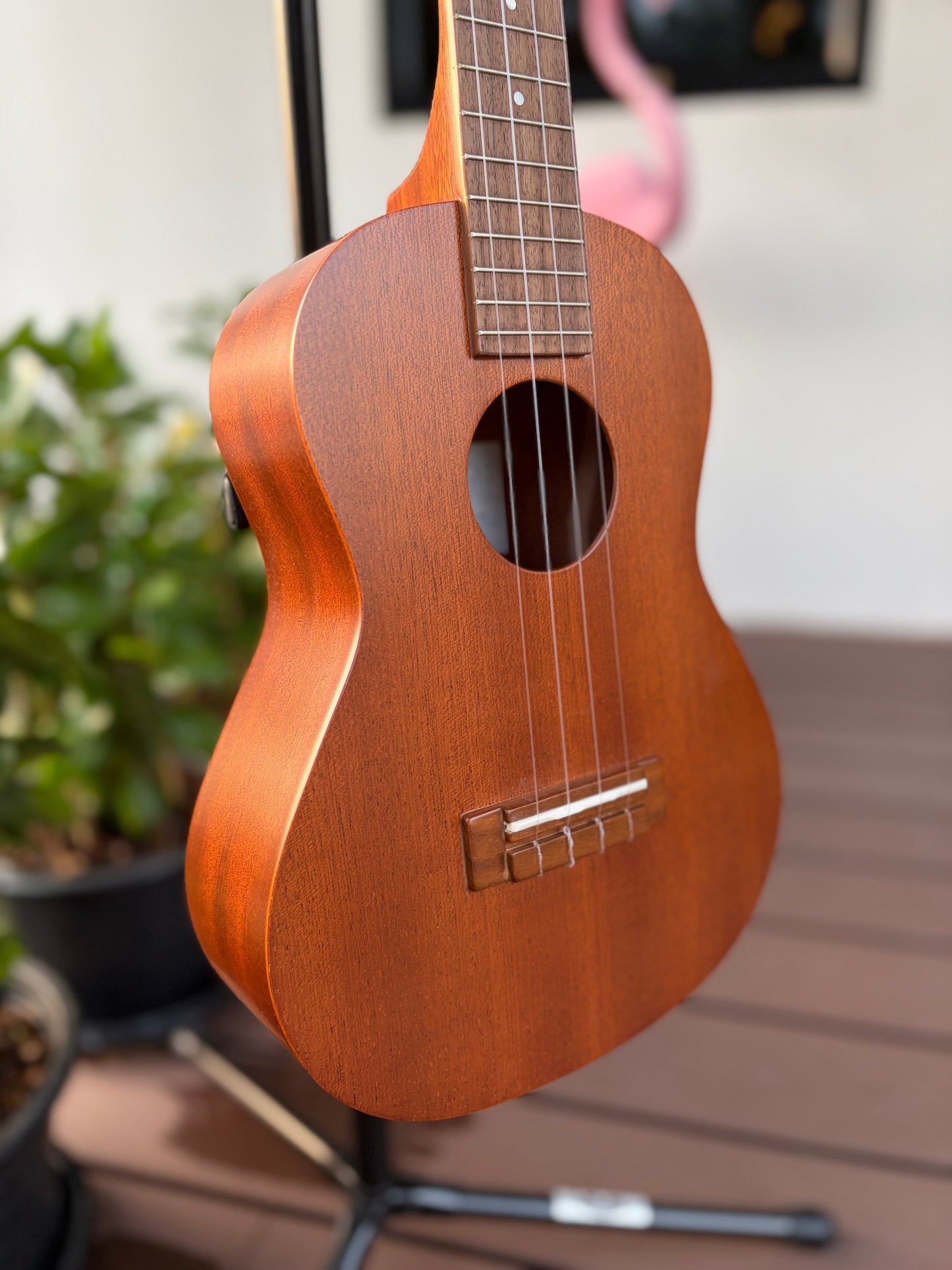 Famous FT-1G Mahogany Tenor