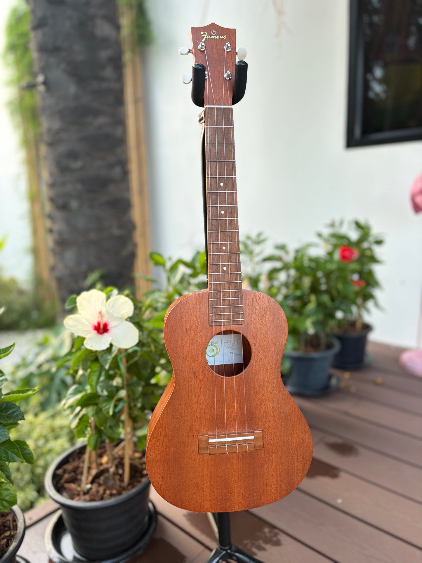 Famous FT-1G Mahogany Tenor