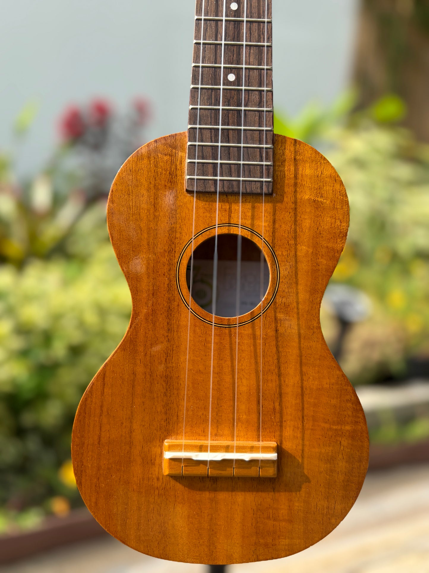 Famous Koa Soprano
