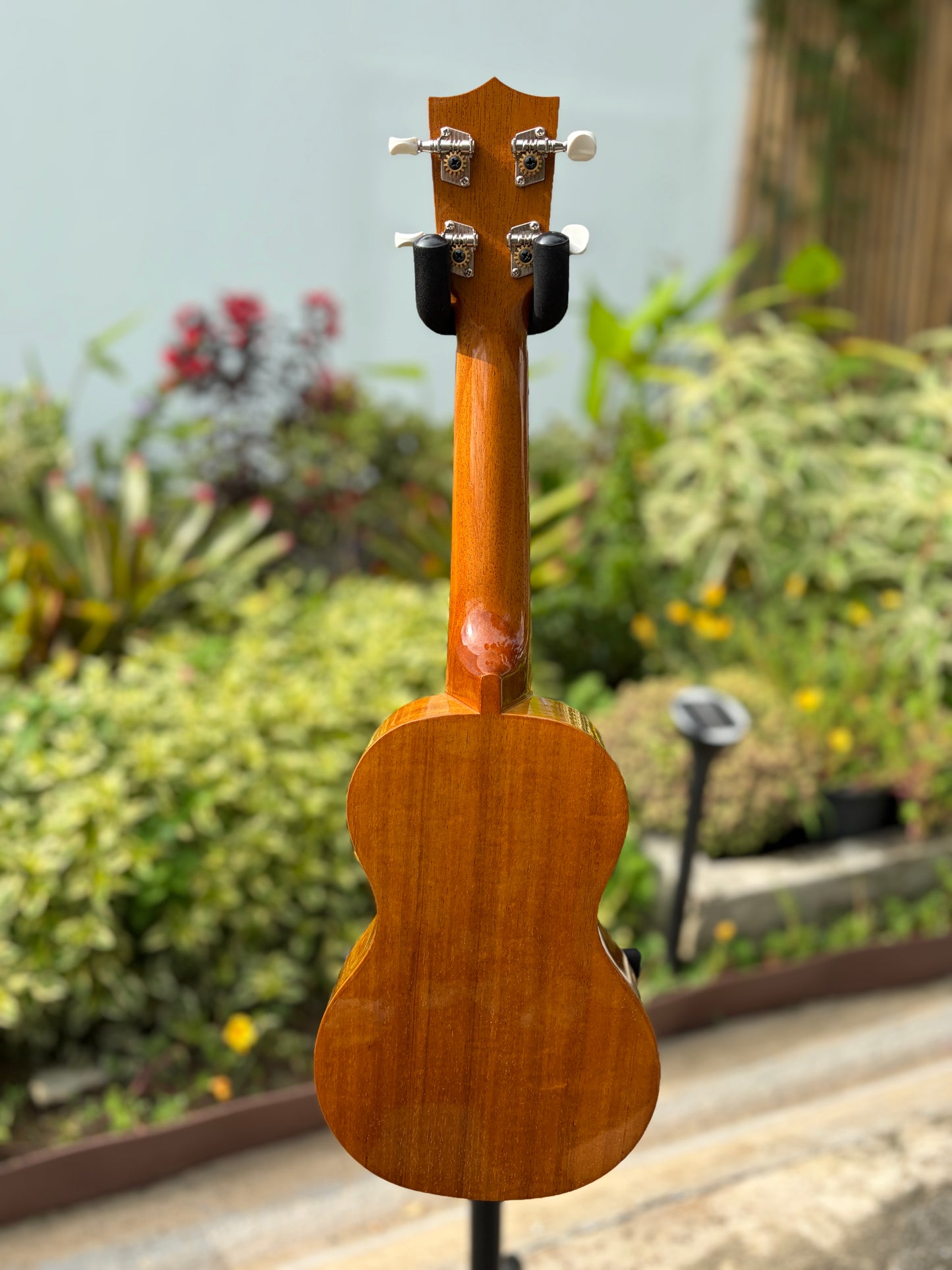 Famous Koa Soprano
