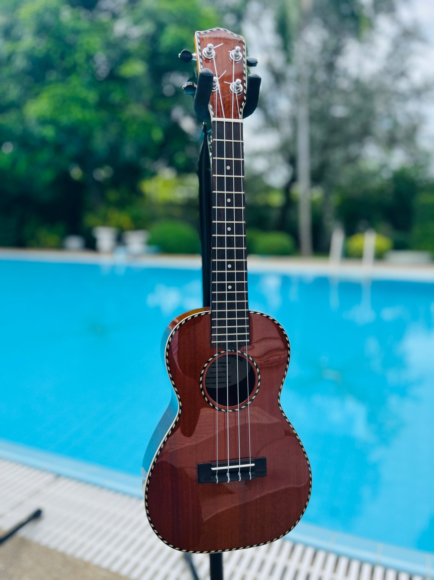 Mainland Mahogany Concert