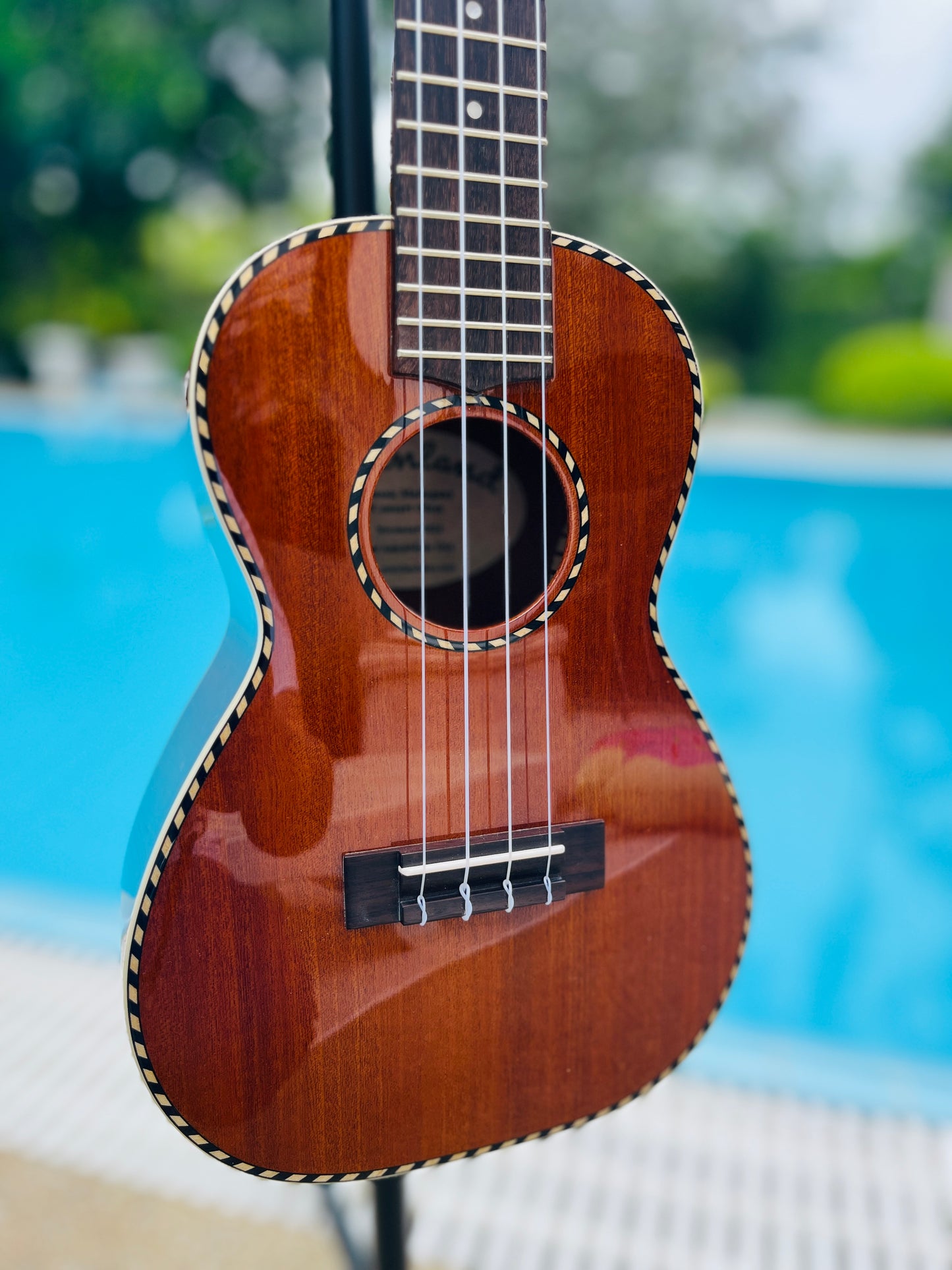 Mainland Mahogany Concert