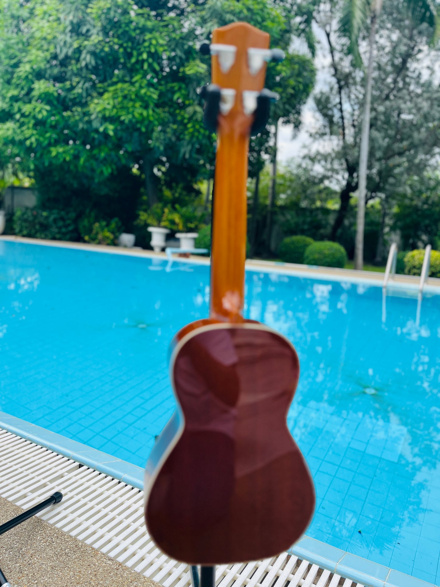 Mainland Mahogany Concert