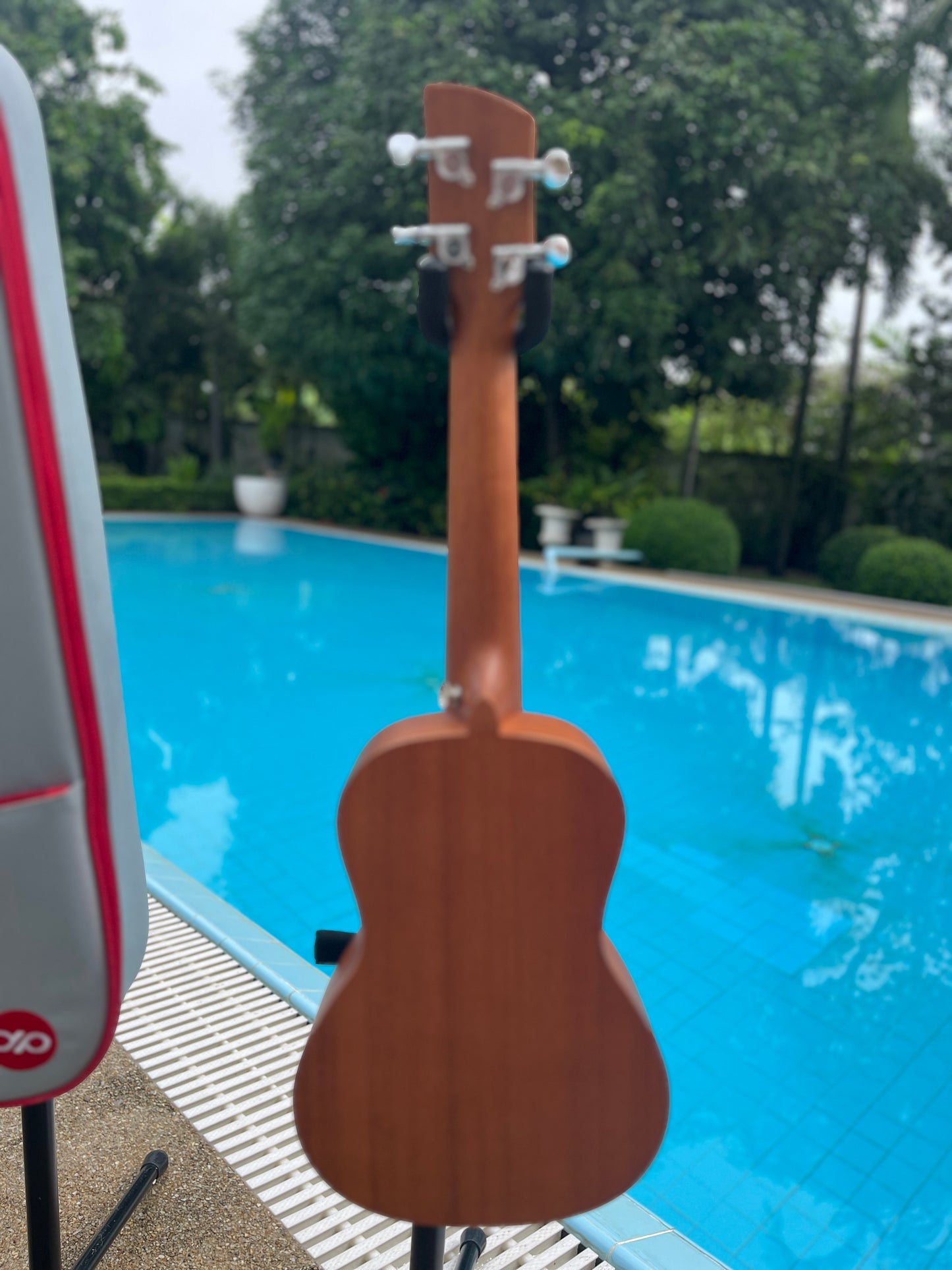Pickapick M1 Mahogany Concert Ukulele