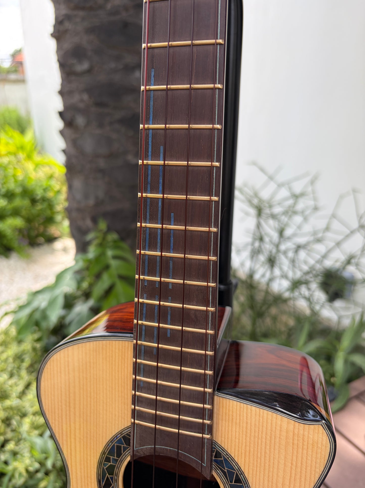 Hozen Aged German Spruce/ Mexican Cocobolo