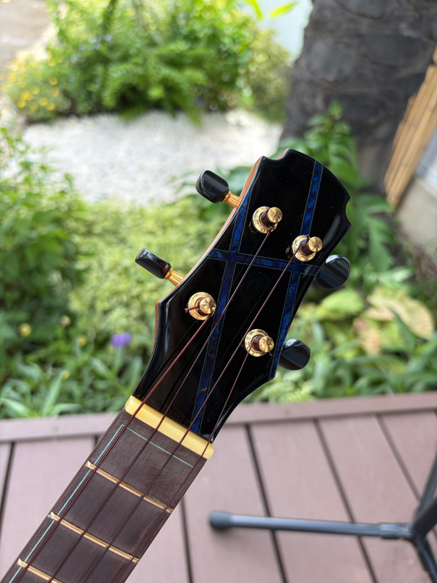 Hozen Aged German Spruce/ Mexican Cocobolo