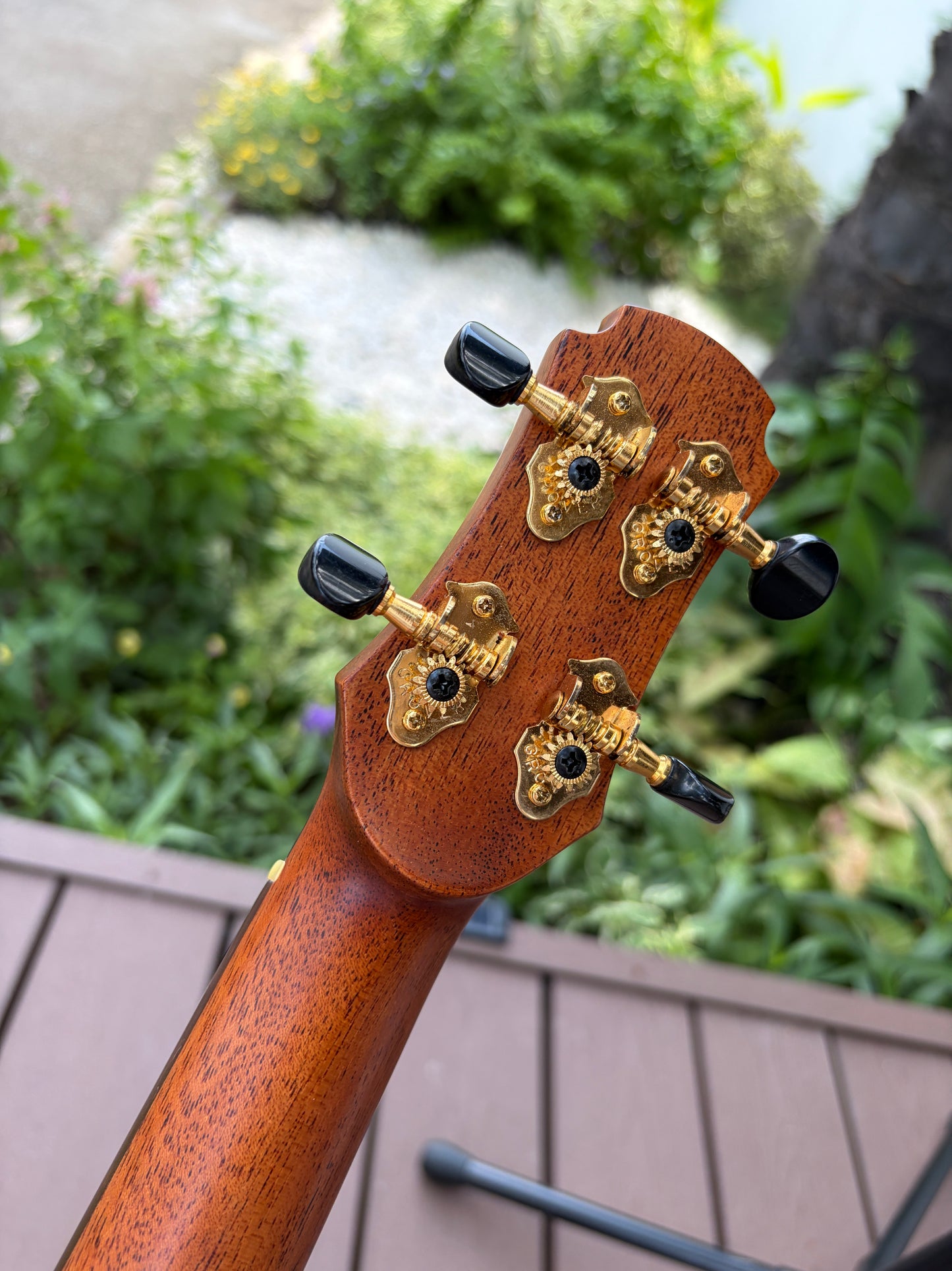 Hozen Aged German Spruce/ Mexican Cocobolo