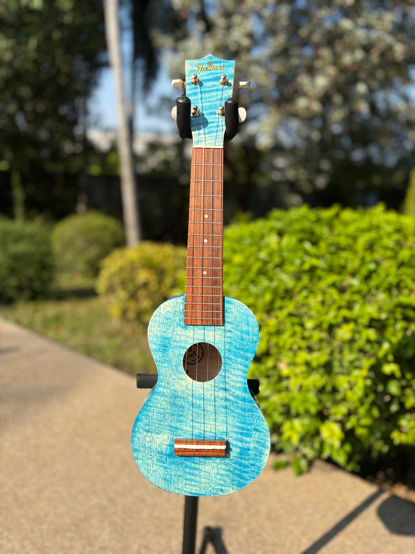 Famous Satinwood Soprano