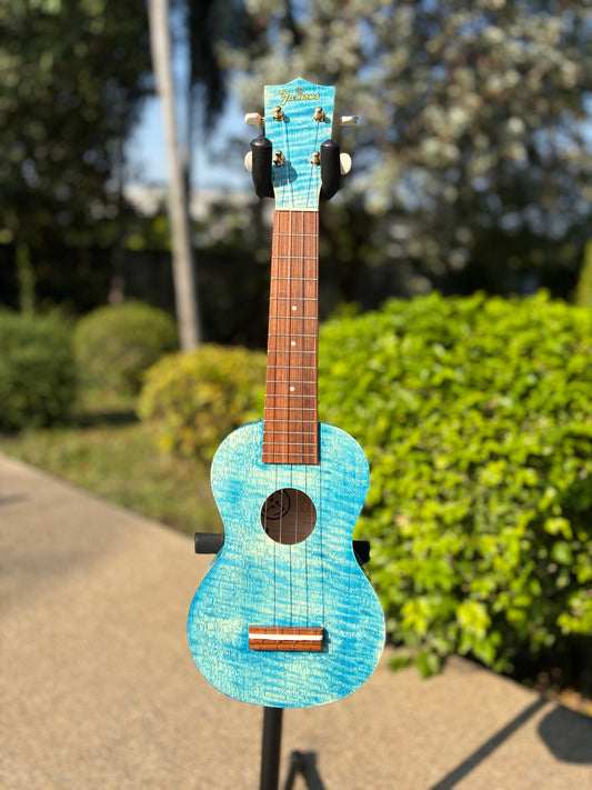 Famous Satinwood Soprano