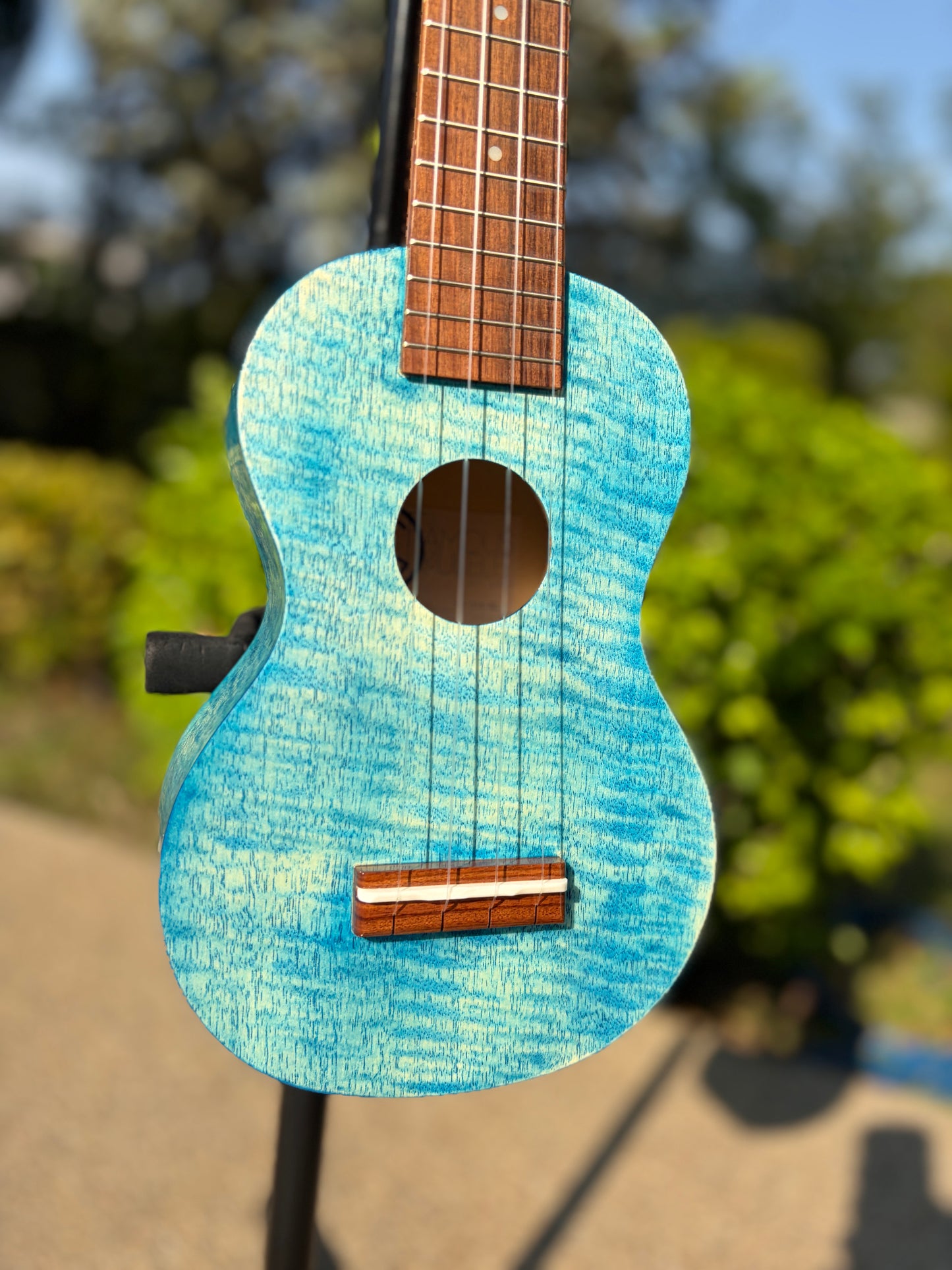 Famous Satinwood Soprano