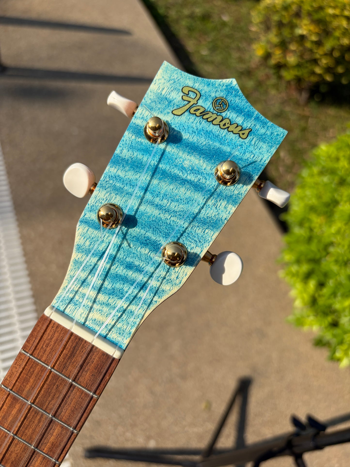 Famous Satinwood Soprano