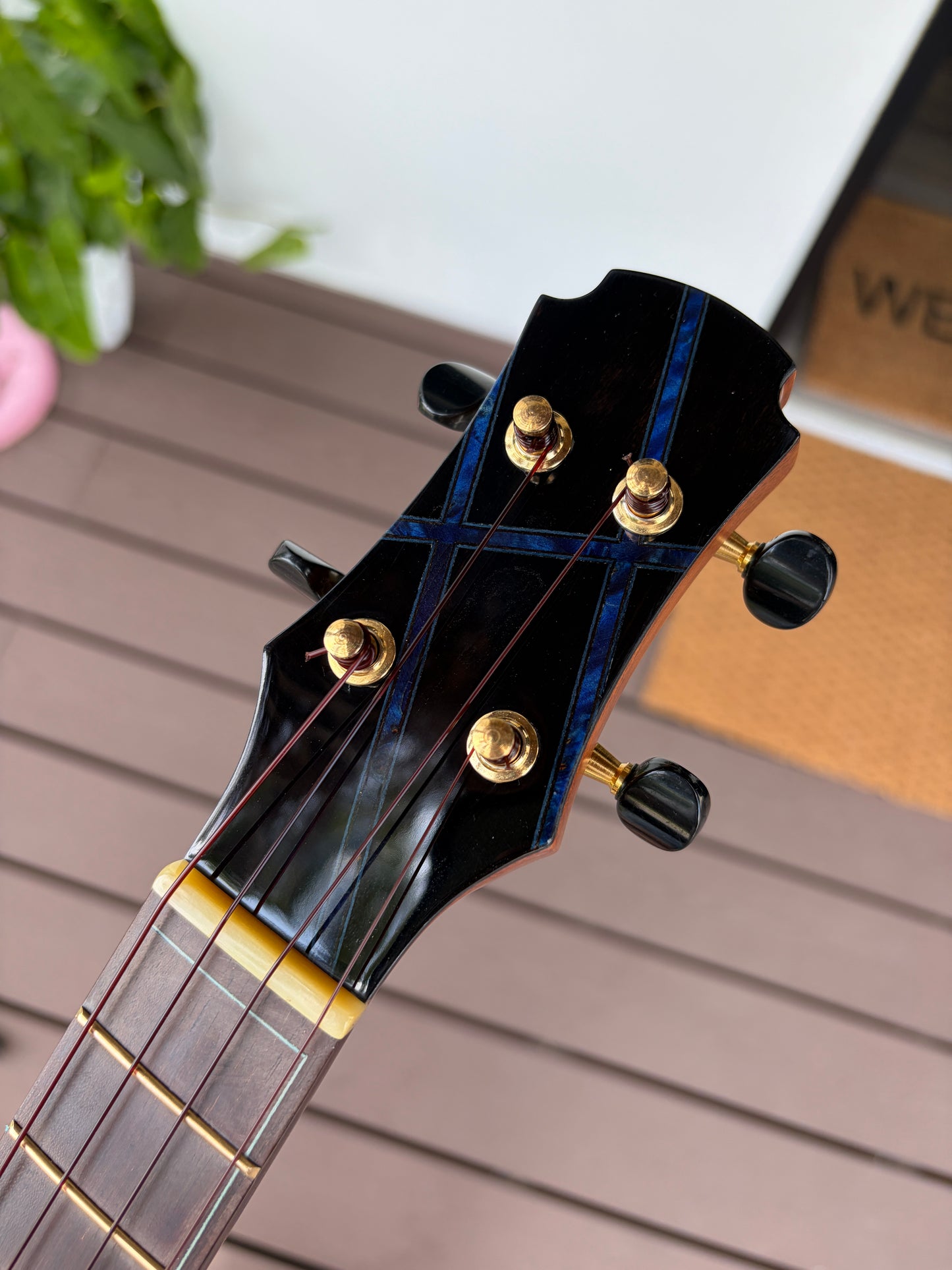 Hozen Aged German Spruce/ Mexican Cocobolo