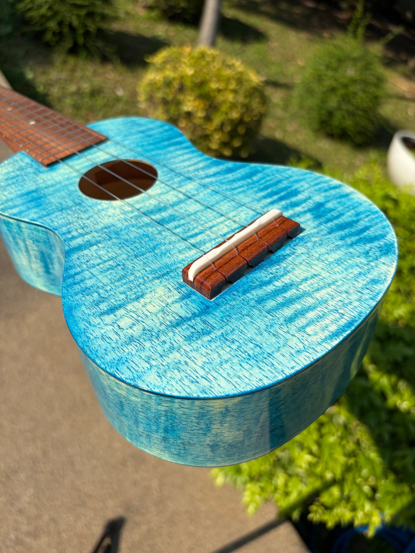 Famous Satinwood Soprano