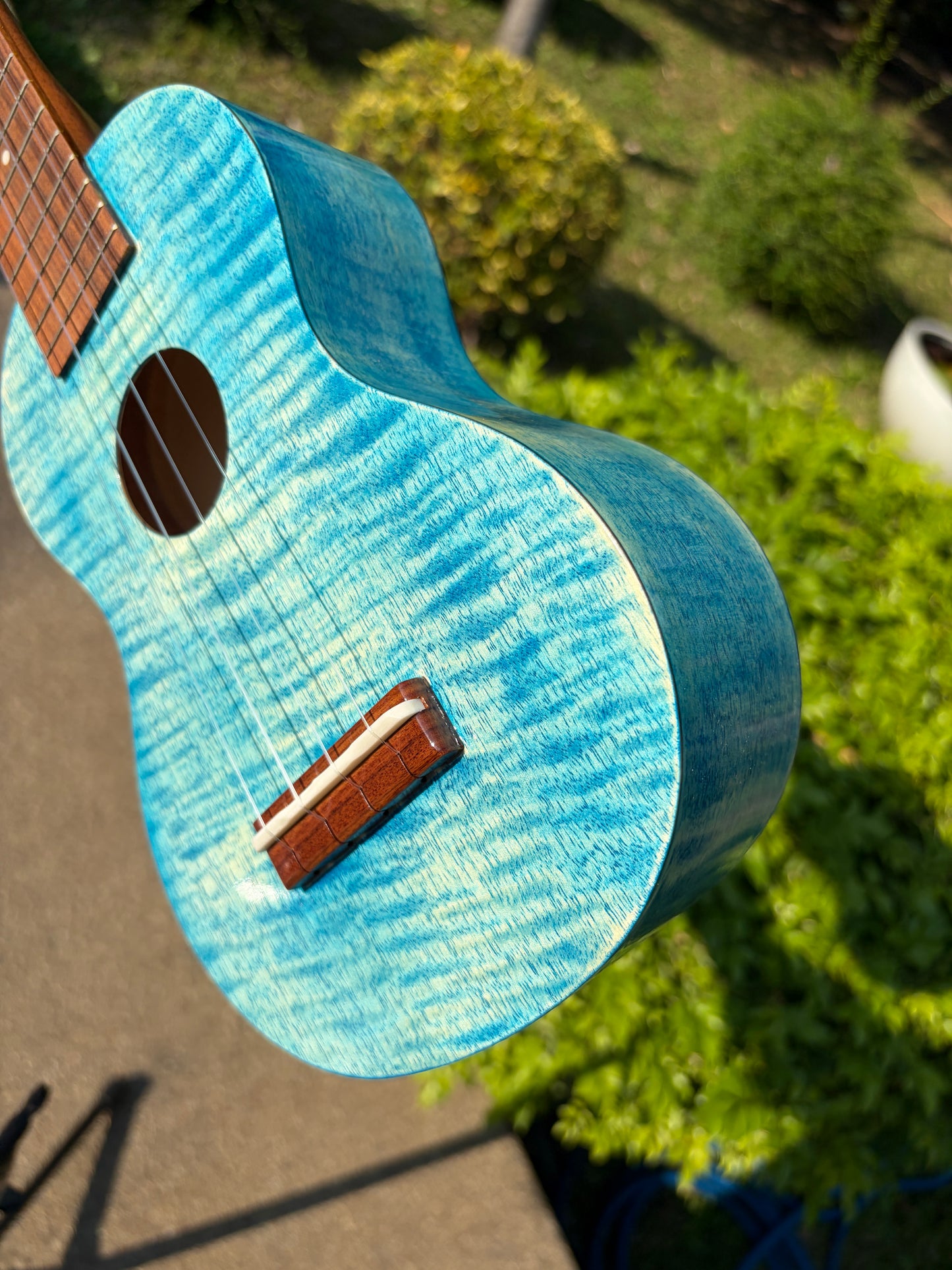Famous Satinwood Soprano