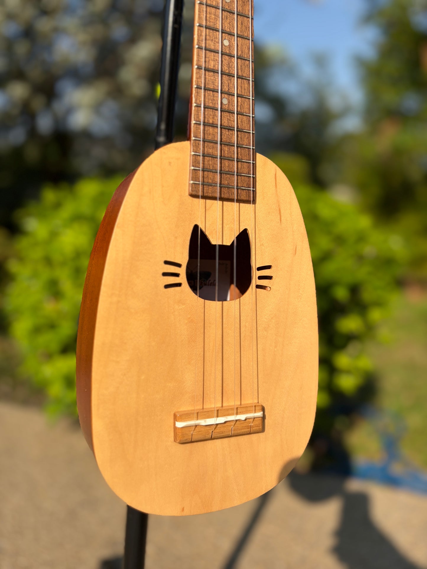 Zephyr Pineapple Cat