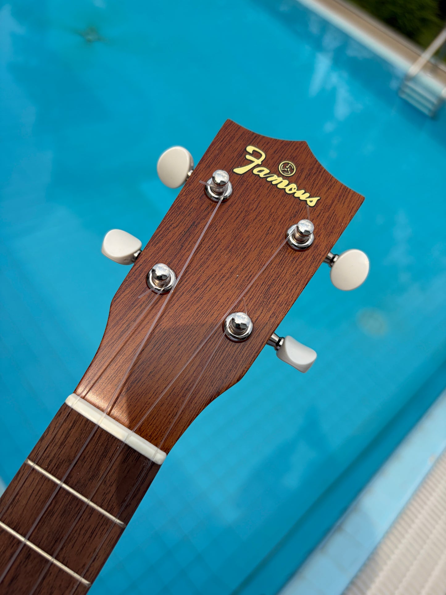 Famous (Kiwaya) Mahogany Soprano Long Neck Ukulele