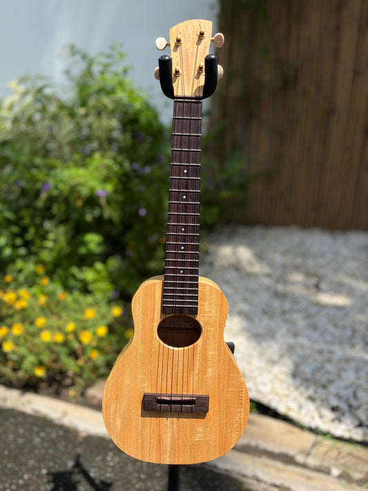 Kige Primevera (White Mahogany) Concert