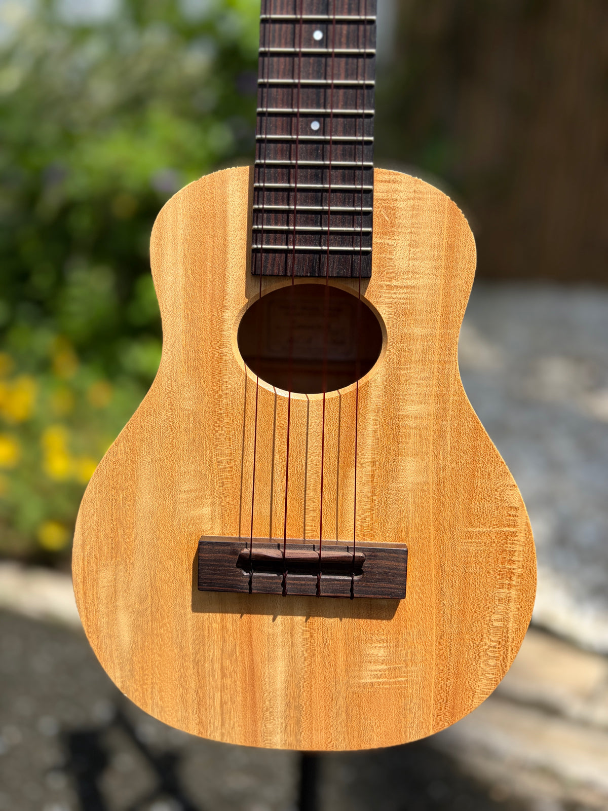 Kige Primevera (White Mahogany) Concert