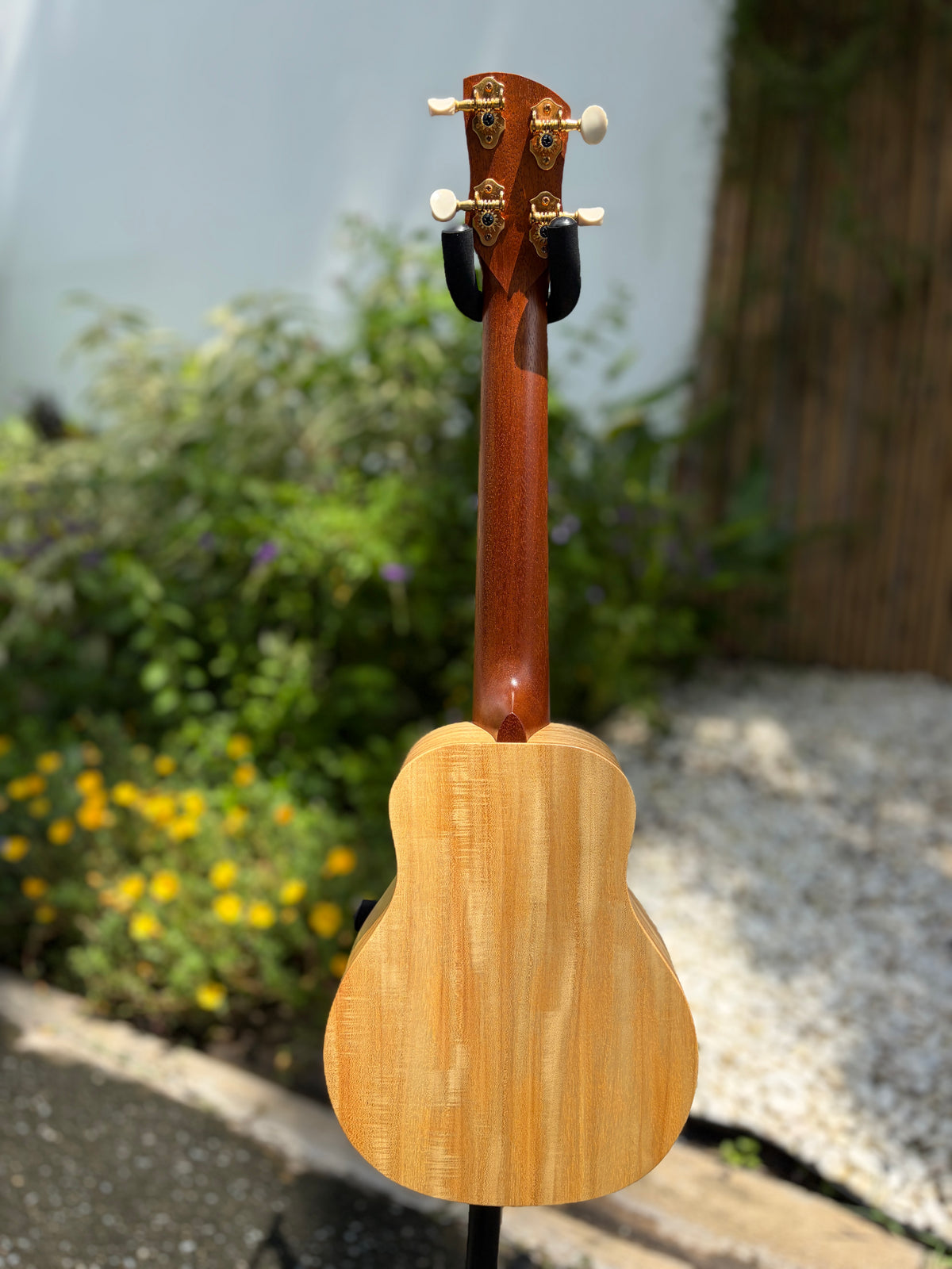 Kige Primevera (White Mahogany) Concert