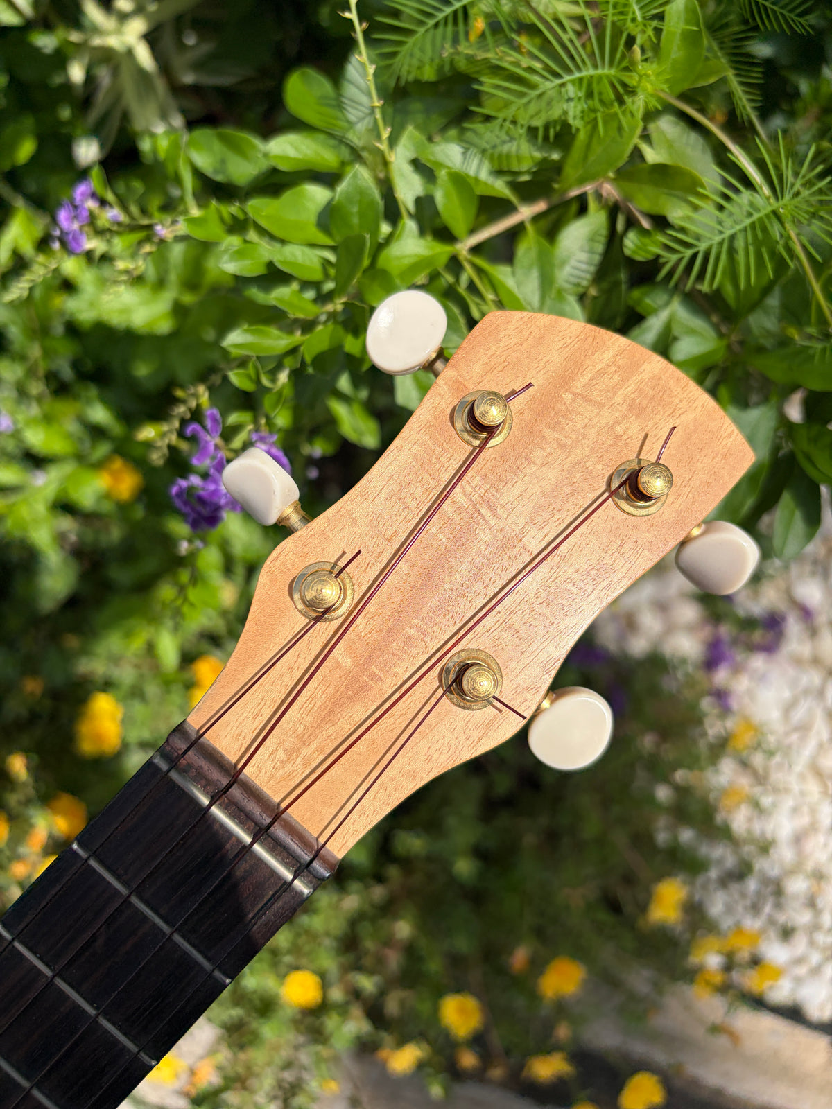 Kige Primevera (White Mahogany) Concert