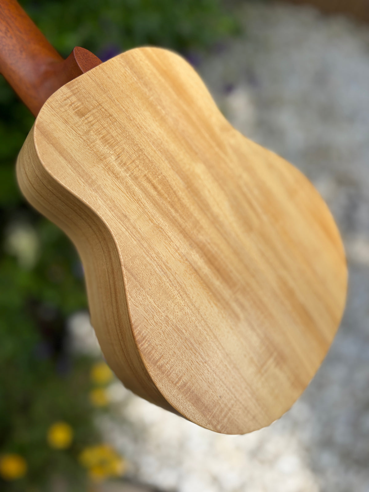 Kige Primevera (White Mahogany) Concert