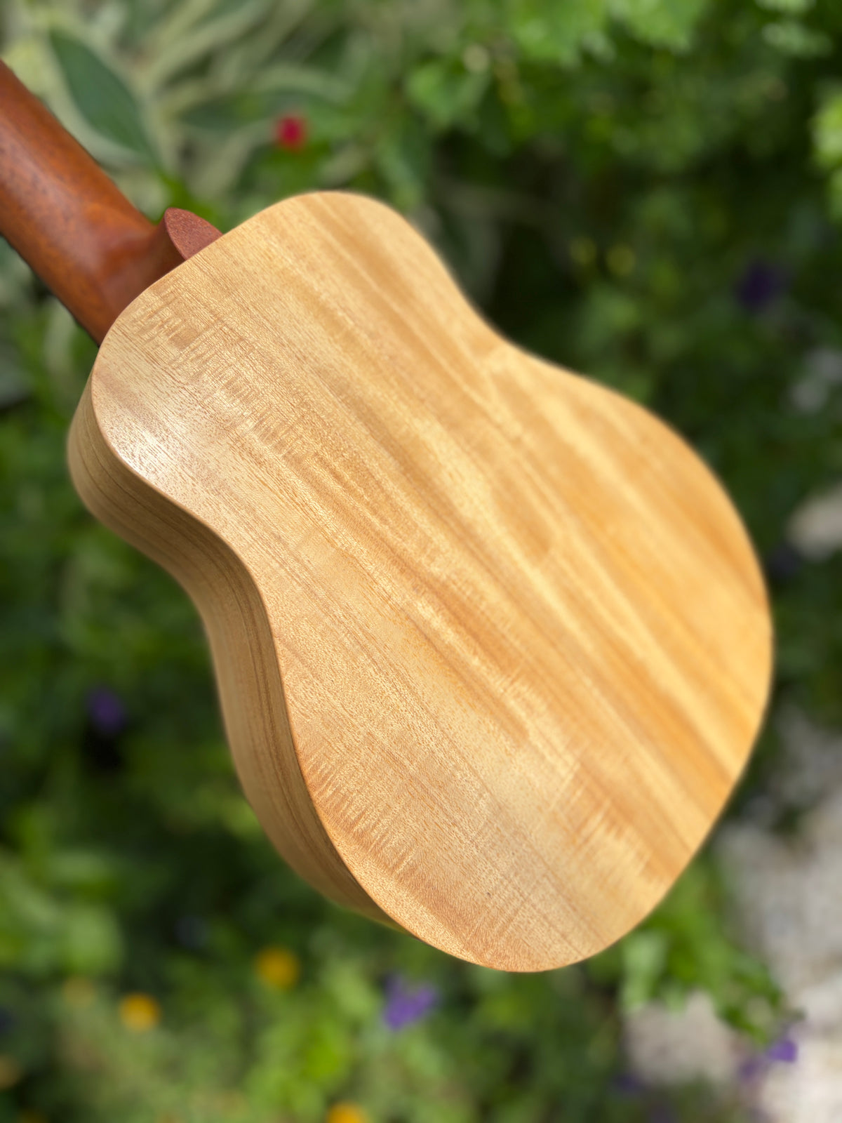 Kige Primevera (White Mahogany) Concert